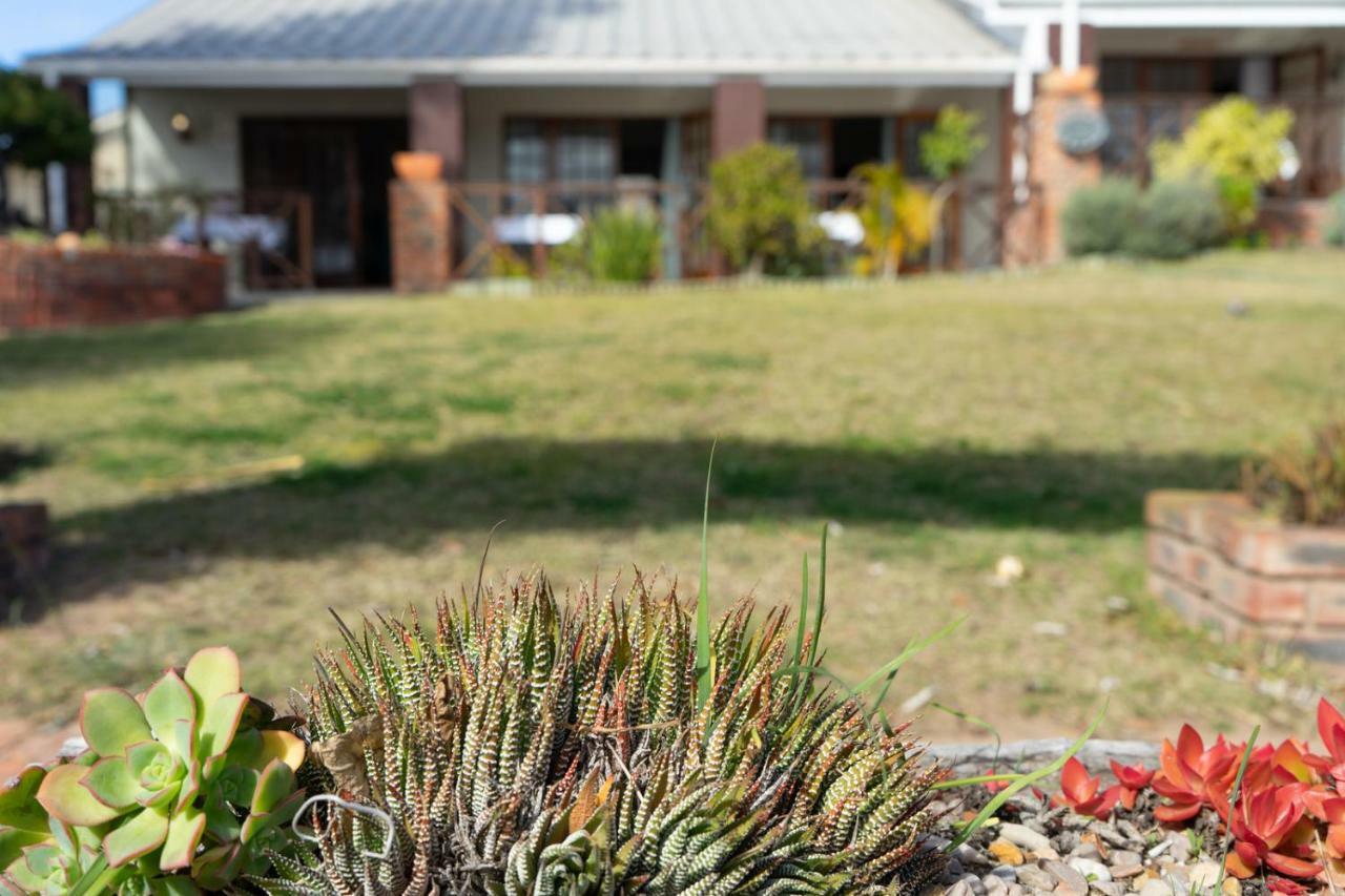 Guest House Arosfa Mosselbaai Buitenkant foto